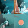 B Grade Print | Lured into the grove – Image 2